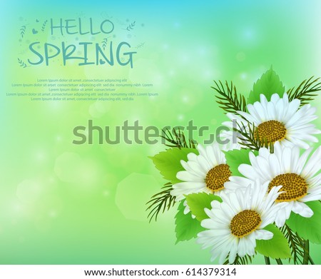 Vector illustration of Spring background with daisy flowers