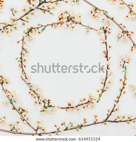 Spring background from flowering branches with white flowers with space for text. mock up for text, phrases, congratulations, lettering