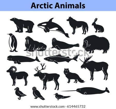 Polar arctic animals collection Royalty-Free Stock Photo #614465732