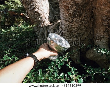 Buddhist's grail pouring water into the tree by woman hand