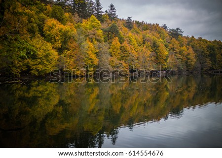 Camping in the Forest by the lake in Autumn