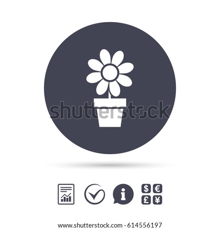 Flowers in pot icon. Bouquet of flowers with petals. Macro sign. Report document, information and check tick icons. Currency exchange. Vector