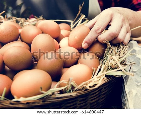 Fresh Chicken Rooster Eggs on Hay at Local Farmer Market Royalty-Free Stock Photo #614600447