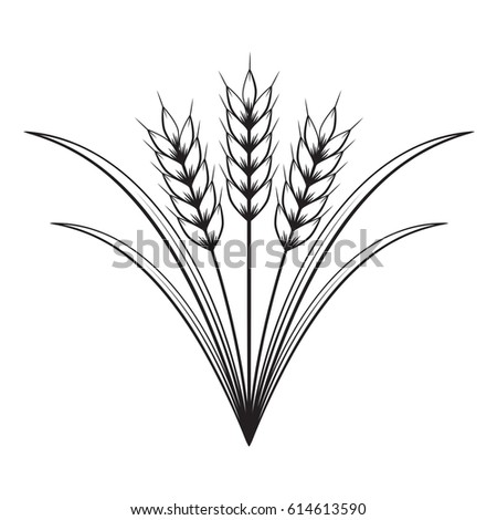 graphic wheat, vector