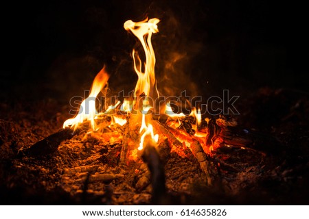 Fire sparks and flames in motion on black background. Texture and eruption
