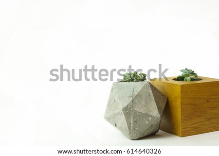 Concrete polygonal vase with succulent, a wooden box  isolated on white.