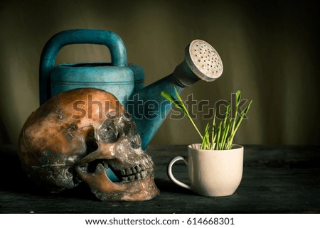 Human skull on old wood background, still life concept