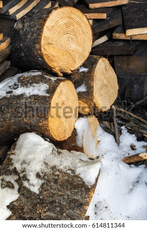 Firewood in the barn.