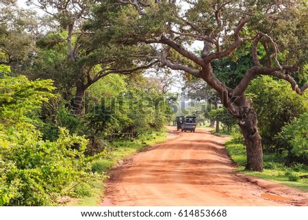 Landscape with road in Yala National Park Royalty-Free Stock Photo #614853668
