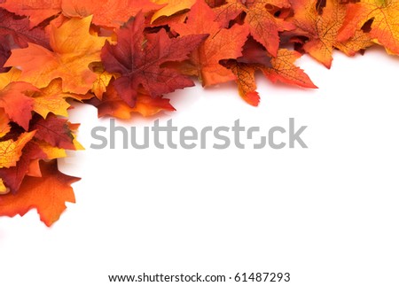 Fall leaves for an autumn background Royalty-Free Stock Photo #61487293