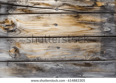 wood texture. background of old panels
