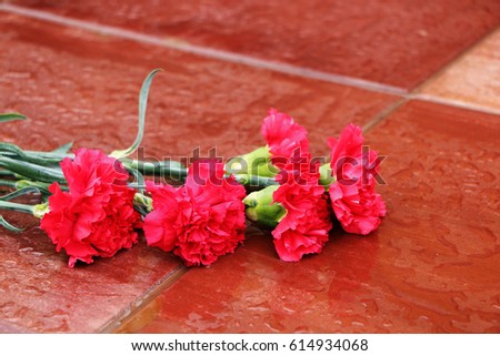 Carnations in rainy weather on a red granite stone