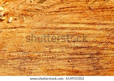 orange woodcut