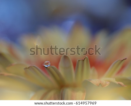 Waterdrops on a flowers made with pastel tones