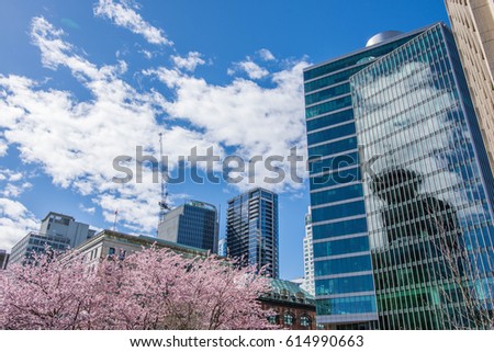 urban scene, skyscraper with cherry blossoms