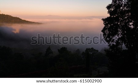 Morning with fog at forest of Collserola - Barceona