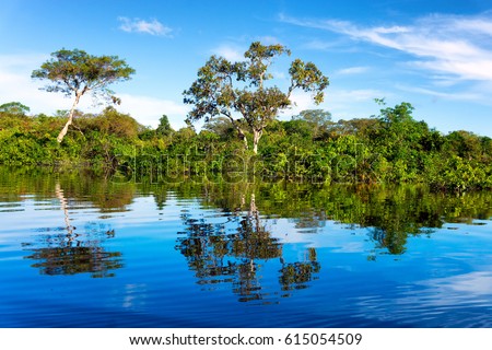 Beautiful reflection of the Amazon Rainforest in Brazil Royalty-Free Stock Photo #615054509