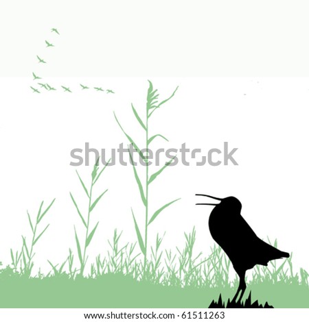 vector  silhouette of the snipe