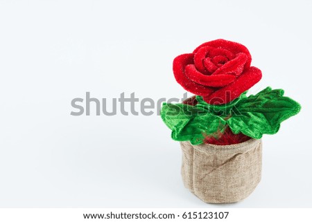 Red roses in a bag with a white background isolated