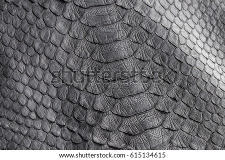 Reptile snake texture closeup, fashion zigzag snakeskin python picture.