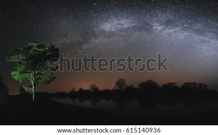 Real Milky Way in sky over pine tree. Starry night over meadow. Gorgeous night background. Free space for text over Milky Way background.