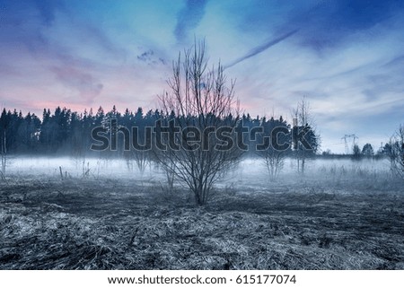 Beautiful Landscape Of Fog On Field With Trees And Pink-Blue Sky Evening Spring. Filtered Photography Image.