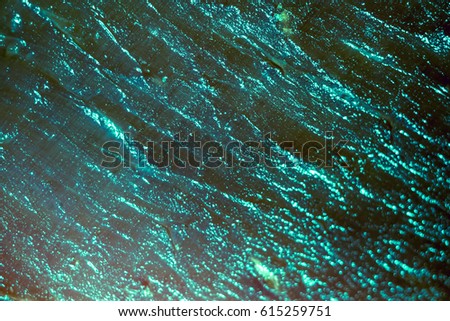 many chaotic emerald green waves of texture of spanish ham, jamon meat texture as abstract background, lines of ham meat texture, abstract texture of parallel long lines nature color