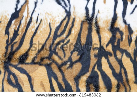 texture of tiger skin background