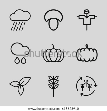 Autumn icons set. set of 9 autumn outline icons such as harvest, mushroom, pumpkin, scarecrow, rain, leaf
