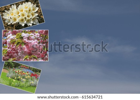 Collage of spring photos for design installation. Photo frame. Gift card.