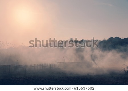 Smoke after grass fire on Wetlands. Reeds burn.