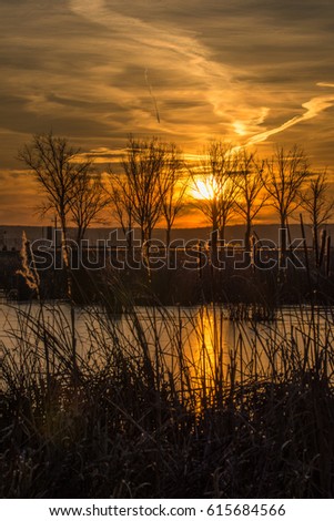 Sunrise in delta