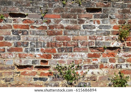 Rotting Brick