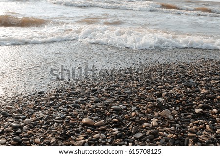 sea shore