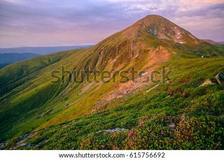 Mountain valley during sunrise / sunset. Natural summer landscape.
Colorful summer landscape in the Carpathian mountains. Royalty-Free Stock Photo #615756692