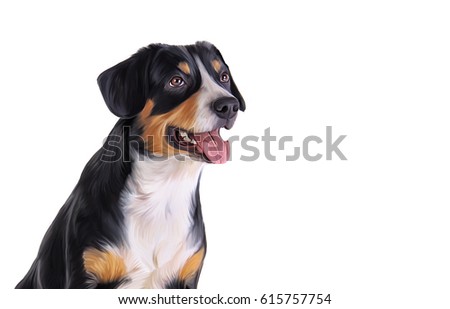Drawing Entlebucher Mountain Dog on a white background. Hand drawn home pet. Digital painting.  Clip art llustration