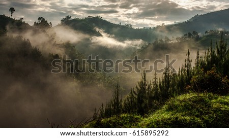 Beautiful landscape in southwestern Uganda, at the Bwindi Impenetrable Forest National Park, at the borders of Uganda, Congo and Rwanda. The Bwindi National Park is the home of the mountain gorillas. Royalty-Free Stock Photo #615895292