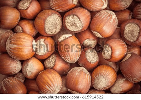 Hazelnuts closeup (filbert)