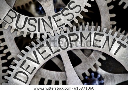Macro photo of tooth wheel mechanism with BUSINESS DEVELOPMENT concept letters
