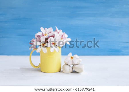 Beautiful flower in cup and rocks on vintage background.