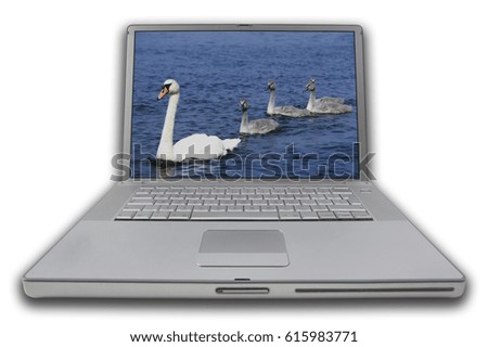 LAP TOP NOTE BOOK PERSONAL COMPUTER WITH SCREEN DISPLAYING PICTURE OF SWAN WITH THREE CYGNETS