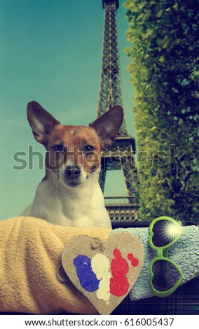 Travel concept image with Jack Russell Terrier in a vintage luggage and Eiffel Tower in background, vintage color toned
