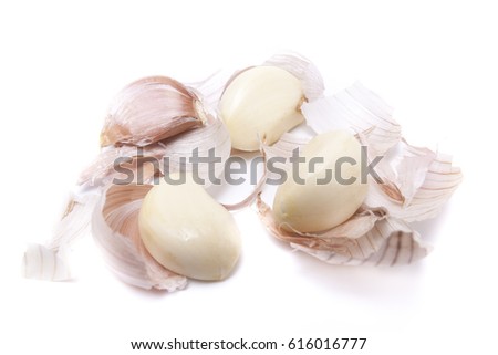 Garlic and shell in center frame, white background, isolate picture