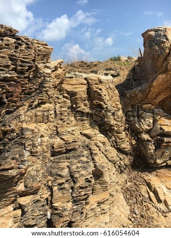 Ancient sea stone outdoor