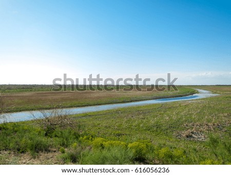 Small lake under nice sky.  Landscape with bog in steppe in nice summer day.  summer scene on lake