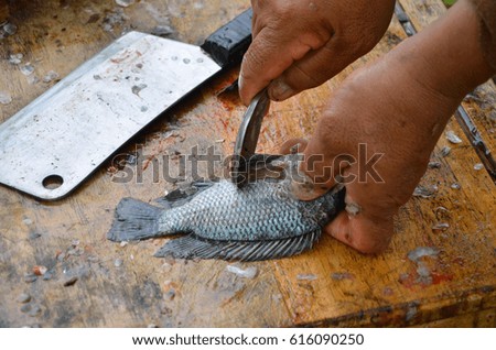 How to scale a fish with a spoon