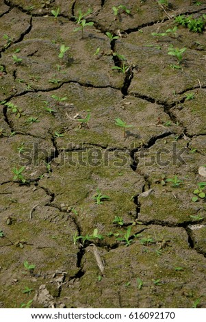 Background of the barren soil