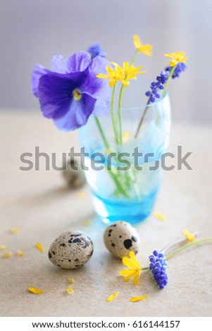 spring country composition with easter quail eggs in vintage glass with muscari, narcissus and viola flowers on light background