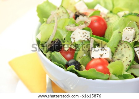 Fresh garden salad