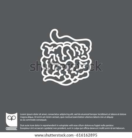 Web line icon. Small intestine